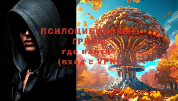 метадон Алексин